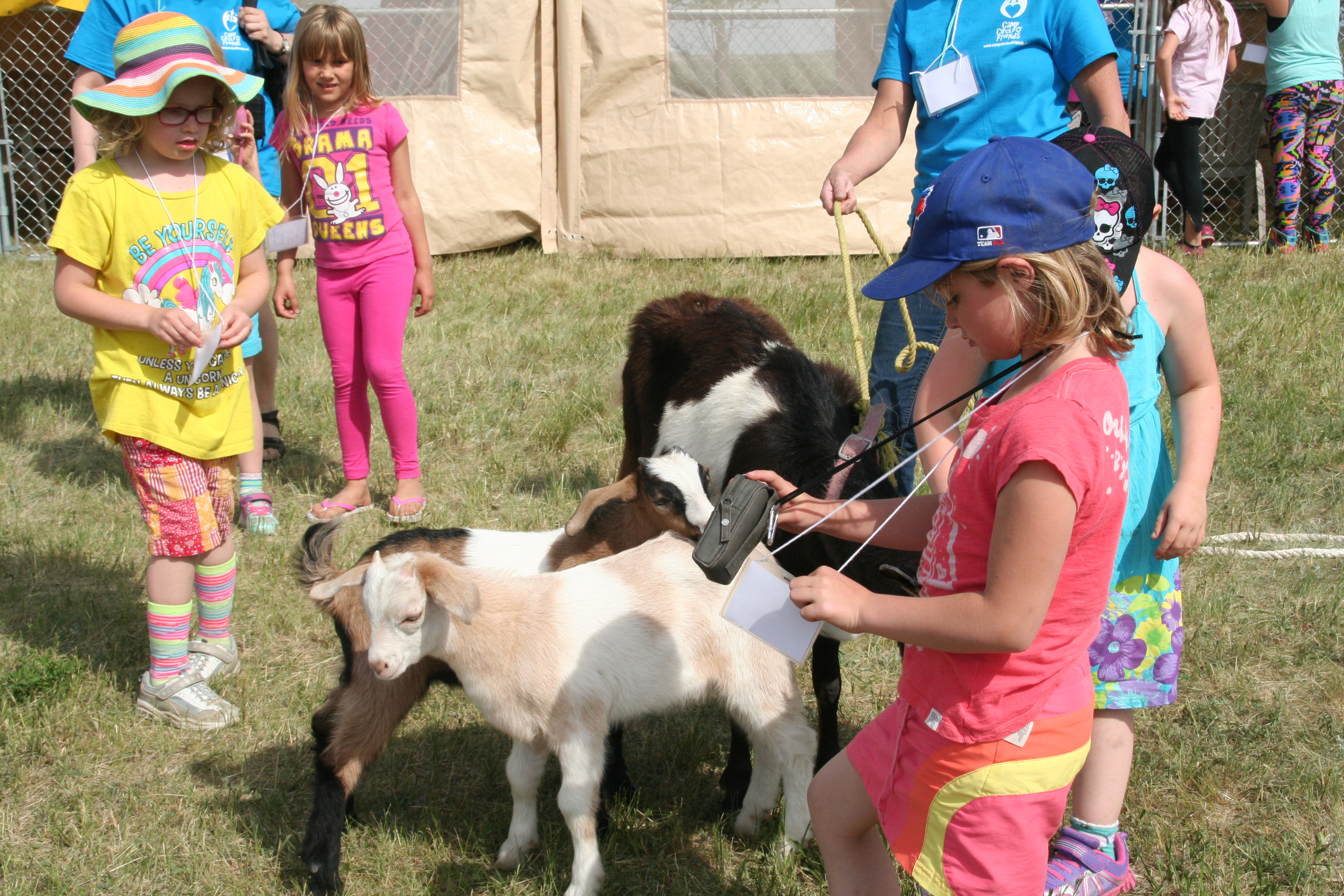 Petting Zoo Image